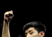 爱游戏娱乐-奥地利乒乓球队血洗德国乒乓球队，张继科打破历史纪录