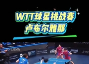 爱游戏APP-波兰队轻取日本队，张本智和惊艳四座