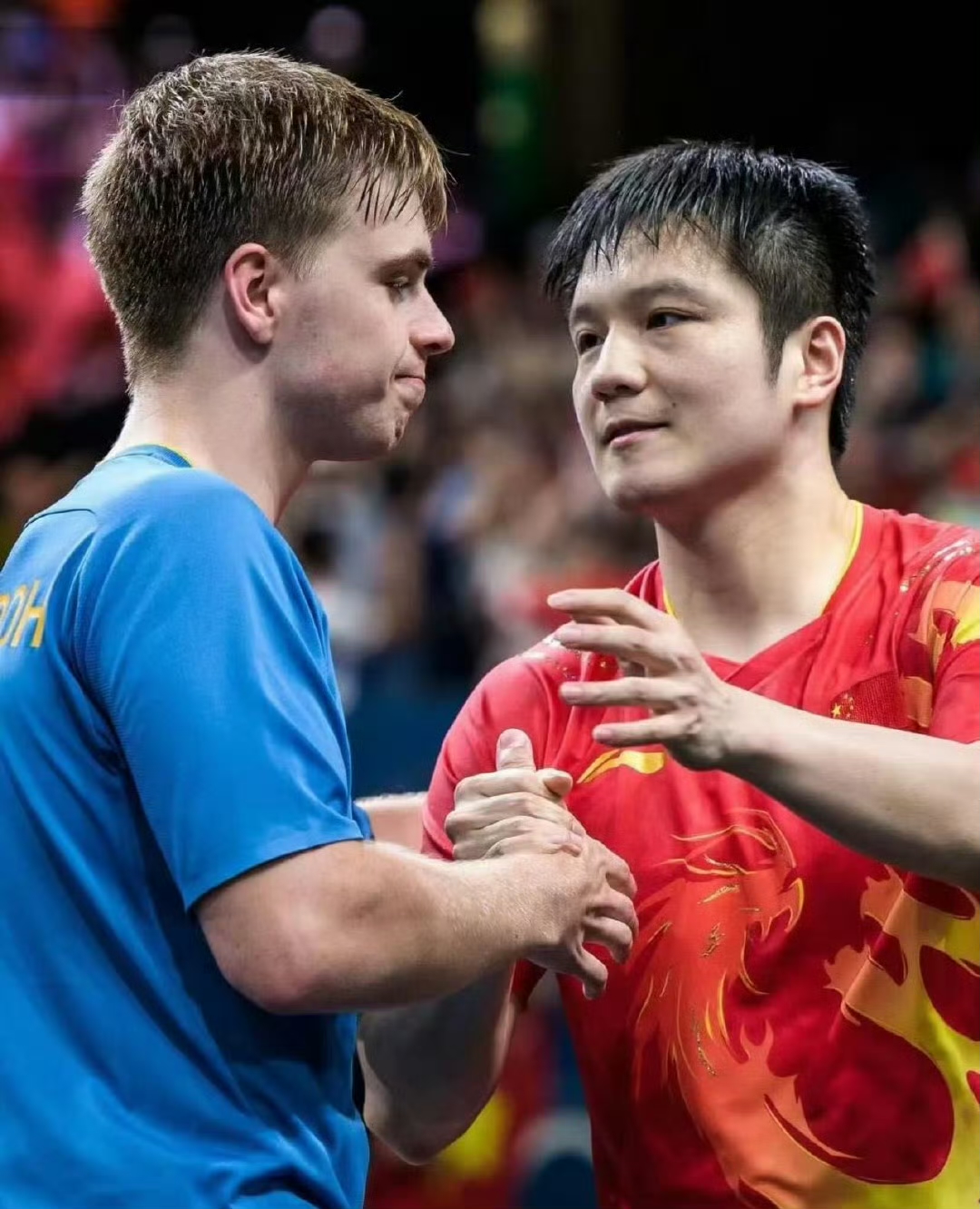 葡萄牙队翻盘德国队，樊振东惊艳四座