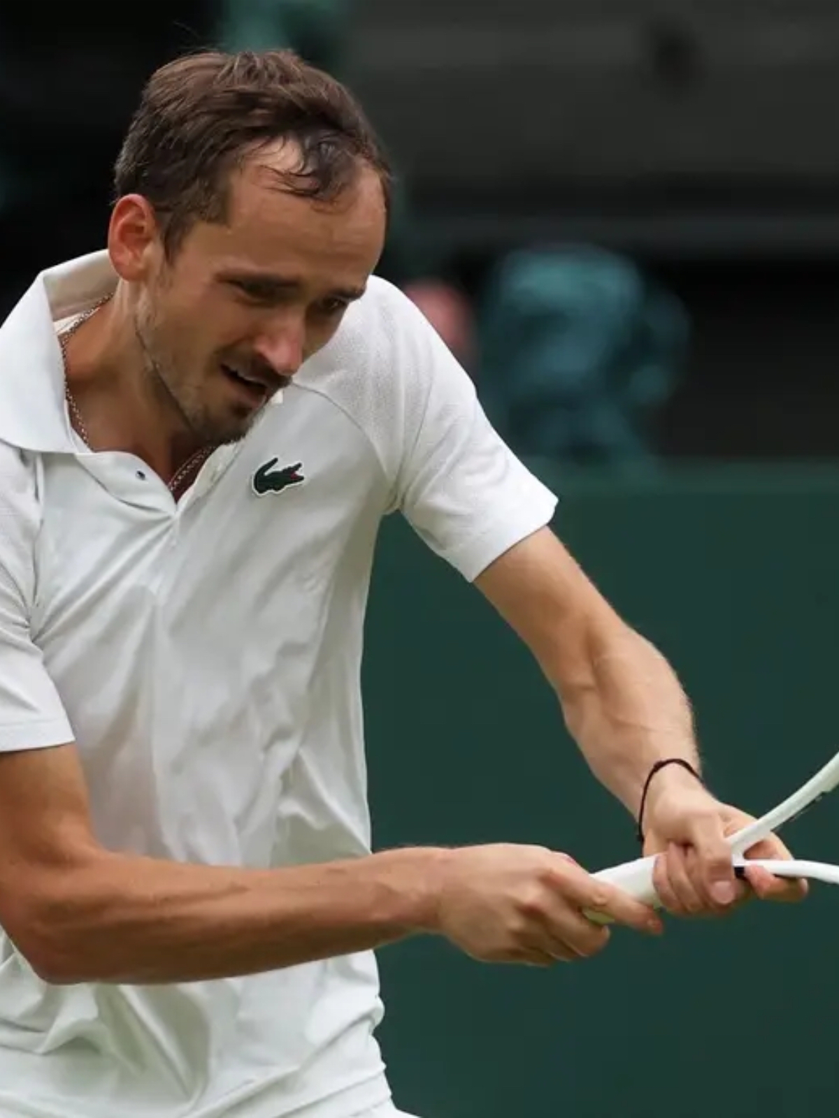 拉沃尔杯翻盘澳网,梅德韦杰夫关键制胜 拉沃尔杯翻盘澳网,梅德韦杰夫关键制胜