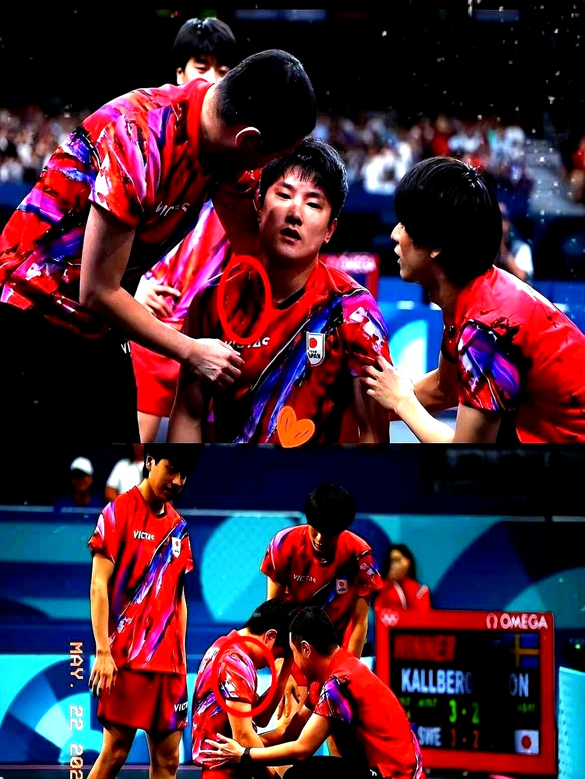 比利时乒乓球队险胜波兰乒乓球队,张本智和关键制胜 比利时乒乓球队险胜波兰乒乓球队,张本智和关键制胜