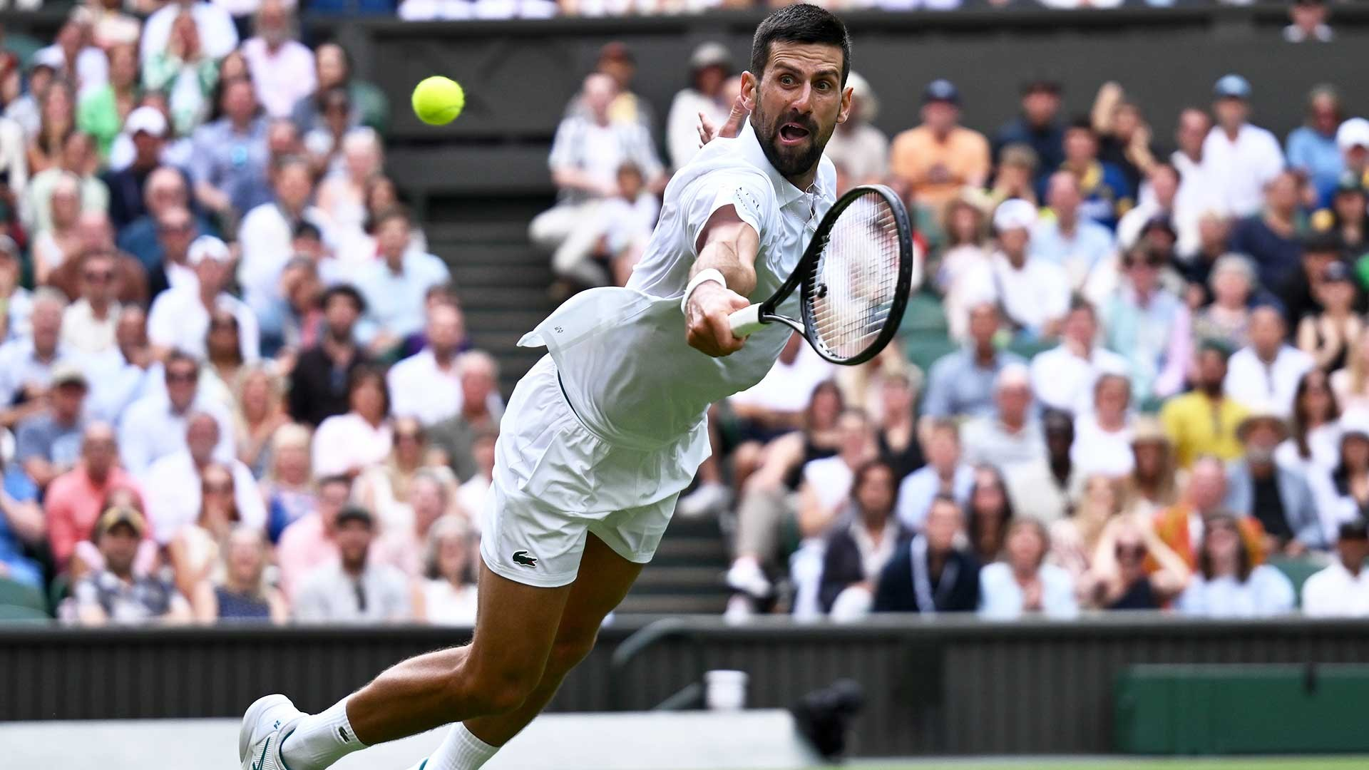 温网碾压澳网，德约科维奇高光表现