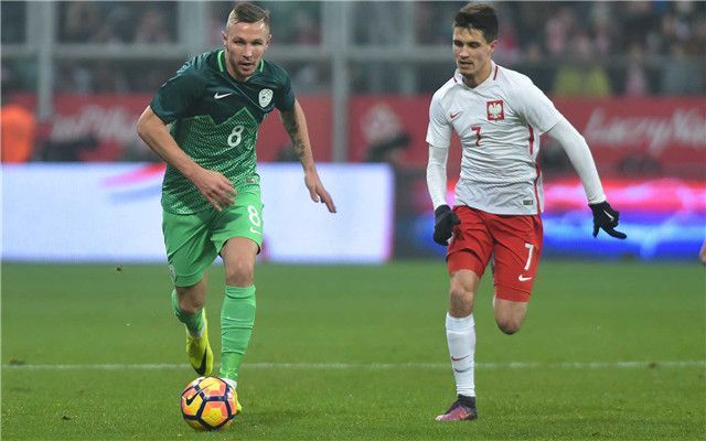 斯洛文尼亚擒波兰,实现连胜 斯洛文尼亚擒波兰,实现连胜