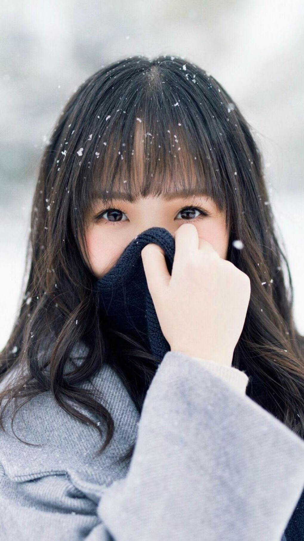 勇士粉碎辽宁队,福克斯成为关键先生