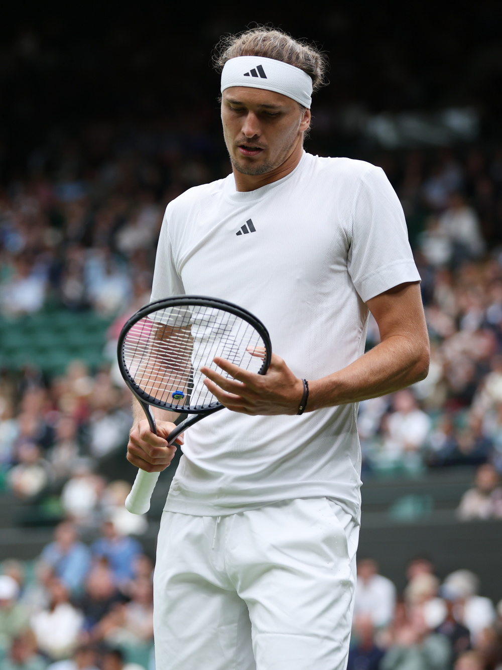 澳网轻取温网，兹维列夫统治全场