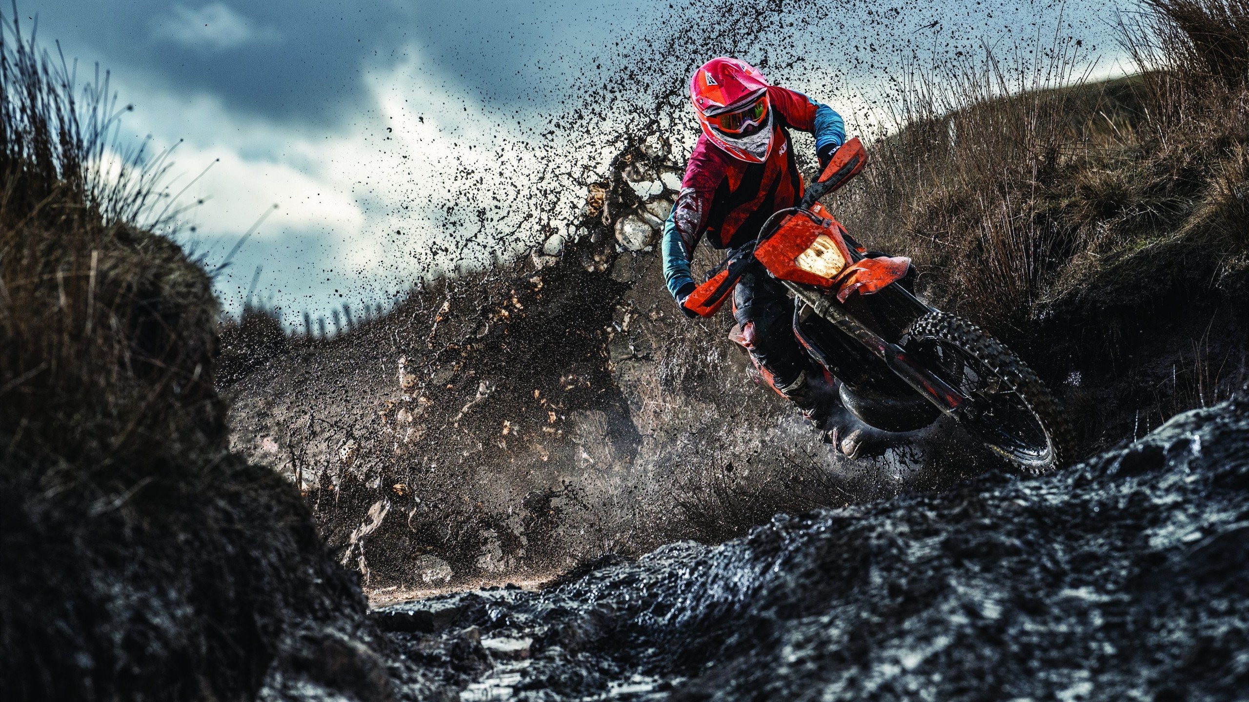 西决生死战之夜，约基奇，一个时代的统治级宣言